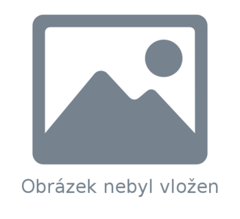 Nová regulace umělé inteligence v EU vstoupila v platnost Nová regulace umělé inteligence v EU vstoupila v platnost